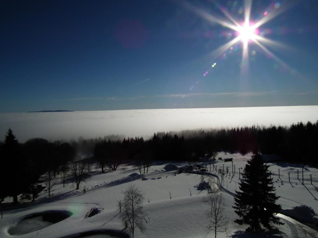 Hotel Alpska Vyhlidka Kvilda Luaran gambar